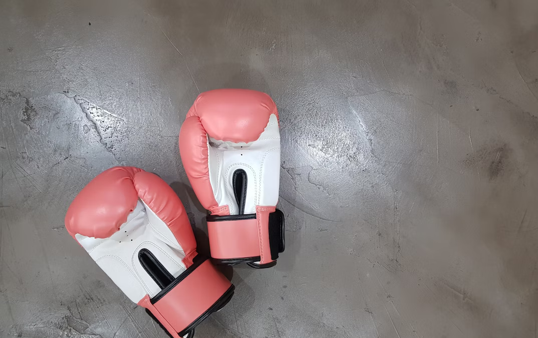 Boxing gloves symbolize family disputes